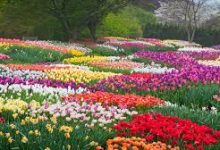 移动宽带用不了香港的节点-香港节点加速器推荐