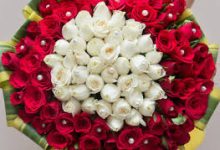 为什么加速器只有香港节点-香港节点加速器推荐