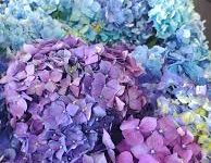 香港节点速度-香港节点加速器推荐