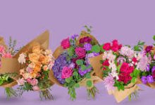 uu没有香港节点吗-香港节点加速器推荐