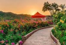 换成香港节点就满速了-香港节点加速器推荐