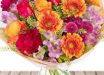 泰坦陨落2香港节点没了-香港节点加速器推荐