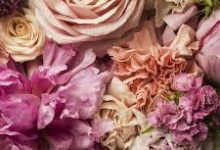 香港ssr免费节点-香港节点加速器推荐