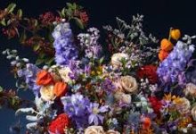 UU香港节点不见了-香港节点加速器推荐