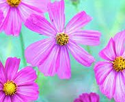 香港节点购买-香港节点加速器推荐