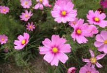 哒哒加速器香港节点-香港节点加速器推荐