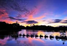 阿里云 香港节点 备案-香港节点加速器推荐