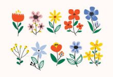 香港节点上不了推特-香港节点加速器推荐