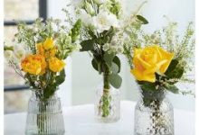 移动光纤香港节点-香港节点加速器推荐