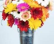 香港专线ssr节点-香港节点加速器推荐