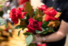 免费香港节点二维码-香港节点加速器推荐