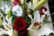 香港网络加速节点-香港节点加速器推荐