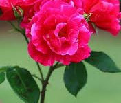 如何让cloudflare走香港节点-香港节点加速器推荐