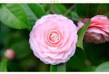 azure香港节点很慢-香港节点加速器推荐