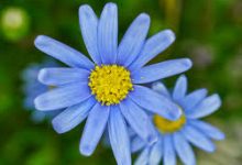 海豚加速器香港节点-香港节点加速器推荐