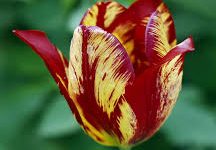 加速器节点为什么在香港-香港节点加速器推荐