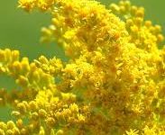 华为云香港节点访问不了-香港节点加速器推荐