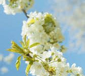 iphone香港节点-香港节点加速器推荐