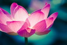 雷神加速器怎么用香港节点-香港节点加速器推荐