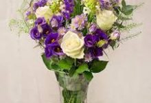 申请香港硕士时间节点-香港节点加速器推荐