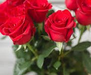 香港和日本哪个节点好-香港节点加速器推荐