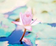 什么加速器有香港的节点-香港节点加速器推荐