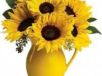 香港节点用什么云便宜-香港节点加速器推荐