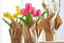 搬瓦工香港节点-香港节点加速器推荐