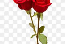 steam香港节点变0-香港节点加速器推荐