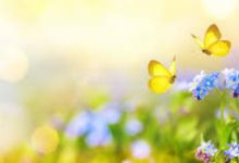 香港节点主机是否需要备案-香港节点加速器推荐