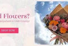 加速器怎么把我换到香港节点-香港节点加速器推荐