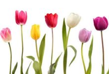 hizi怎么切换香港节点-香港节点加速器推荐