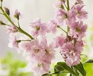 gta5香港哪个节点好-香港节点加速器推荐