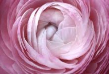 加速器没有香港节点-香港节点加速器推荐