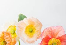 ssr香港原生节点-香港节点加速器推荐