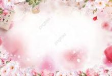 稳定的ss香港节点-香港节点加速器推荐