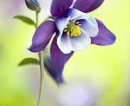 免费香港ss节点-香港节点加速器推荐