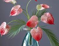 百度浏览器登录香港节点-香港节点加速器推荐