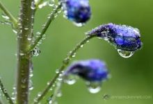 全境封锁 香港节点-香港节点加速器推荐
