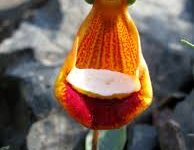 uu香港节点用不了-香港节点加速器推荐