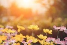 ssr香港节点看tvb-香港节点加速器推荐