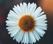 国内 香港 美国节点-香港节点加速器推荐