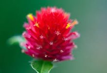 韩国手游挂香港节点可以玩吗-香港节点加速器推荐