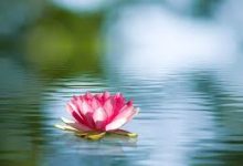 香港节点问题-香港节点加速器推荐