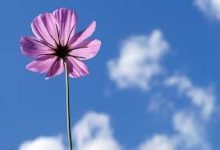 哪些加速器节点是香港-香港节点加速器推荐