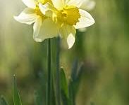 nba2k20怎么换香港节点-香港节点加速器推荐