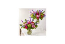 吃鸡uu加速器香港节点-香港节点加速器推荐