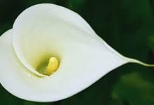 uu加速器怎么都是香港节点-香港节点加速器推荐