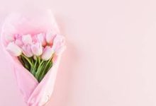 香港节点加速 mac-香港节点加速器推荐