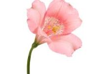 绝地求生更新节点香港-香港节点加速器推荐